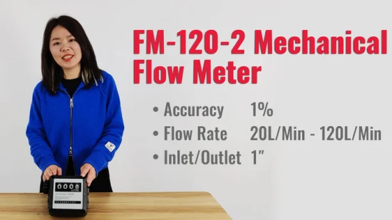 Contador diésel mecánico de turbina de 1 pulgada Medidor de flujo de combustible de consumo de gasolina digital